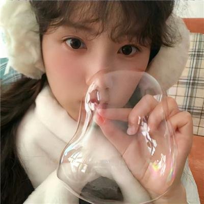公主复仇者