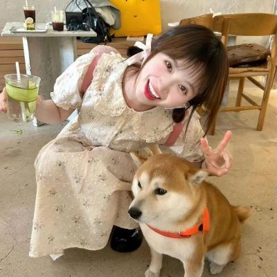二八青春